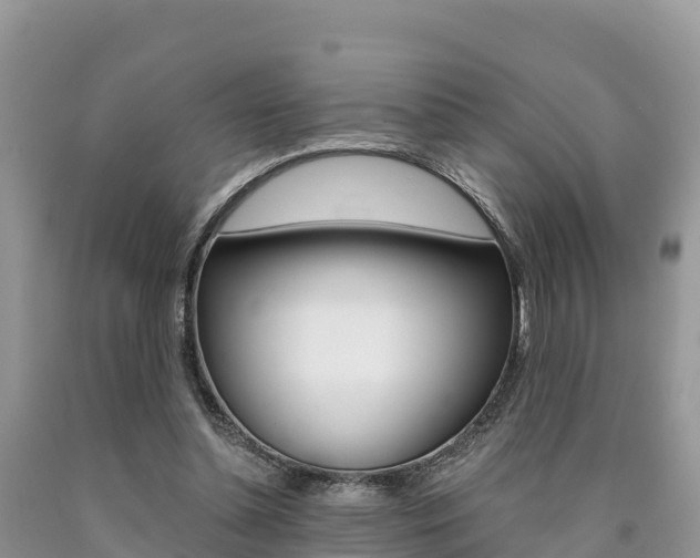 X0000090720348200707201018