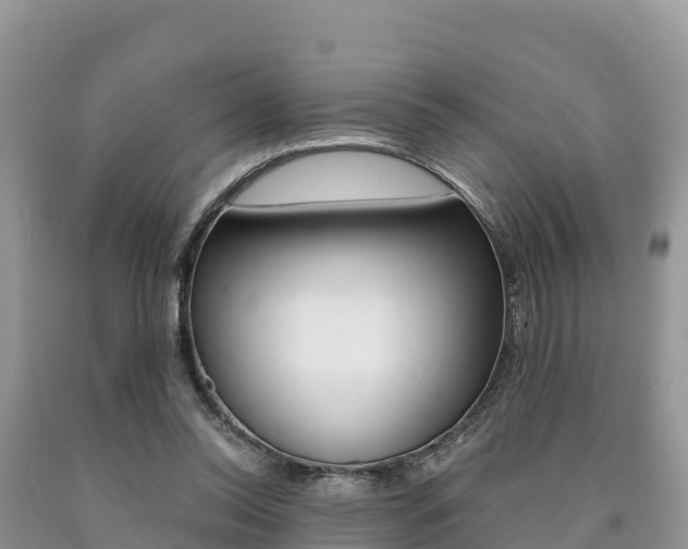 X0000090720350200707201018