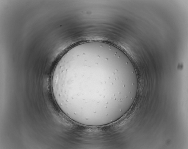 X0000090720351200707201018