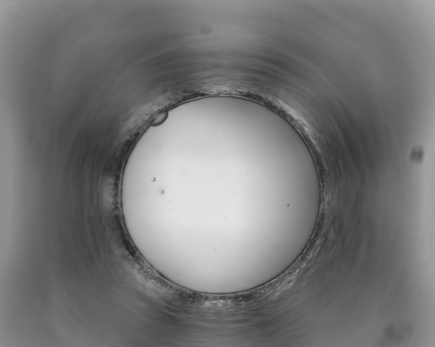 X0000090720353200707201018