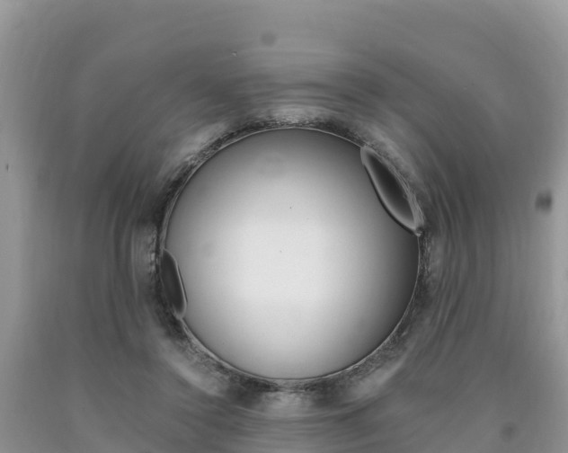 X0000090720356200707201019