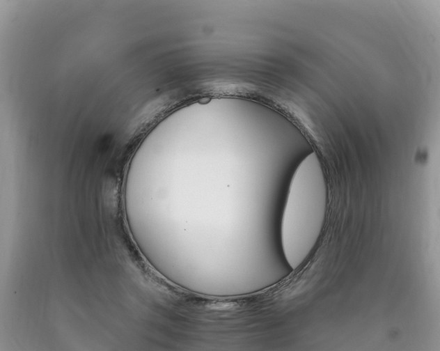 X0000090720357200707201019