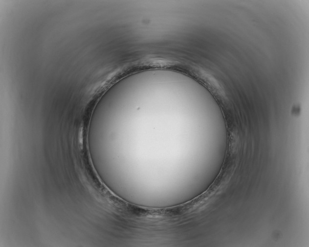 X0000090720358200707201019