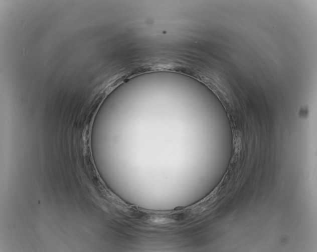 X0000090720360200707201019