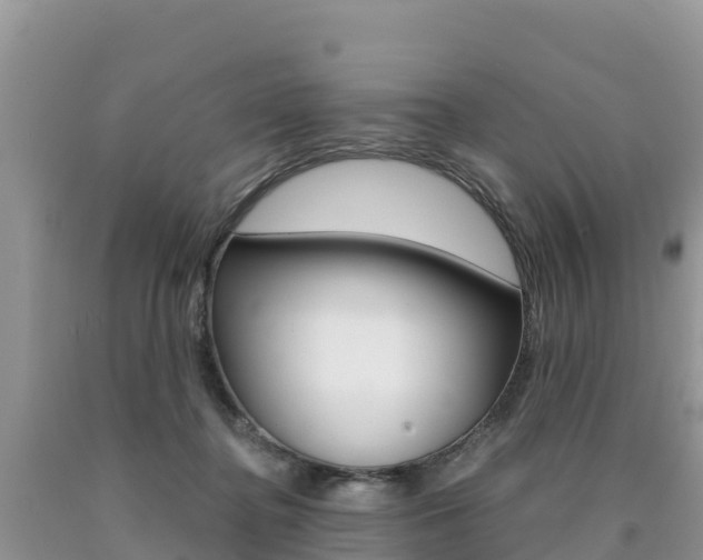 X0000090720364200707201019
