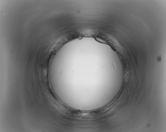 X0000090720365200707201019