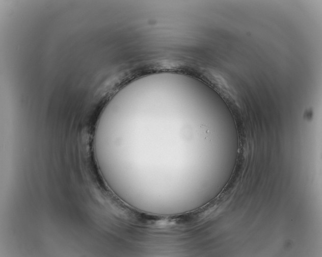 X0000090720366200707201019