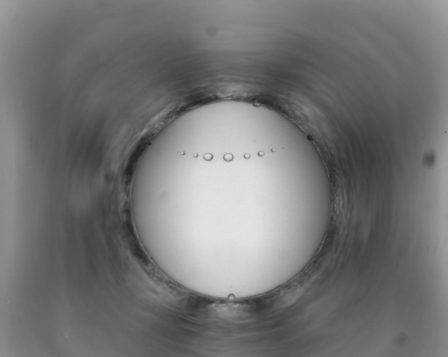 X0000090720367200707201019