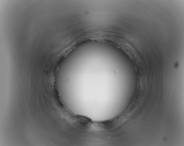 X0000090720372200707201019