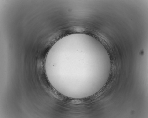 X0000090720373200707201019