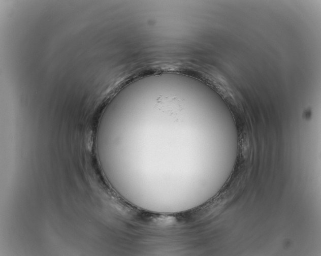 X0000090720374200707201019