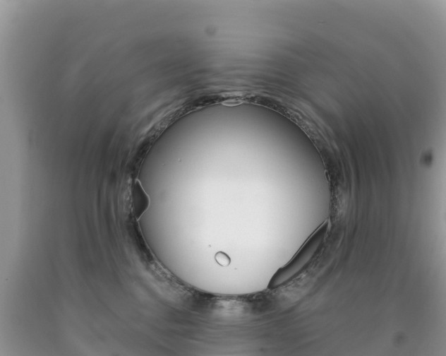 X0000090720376200707201019