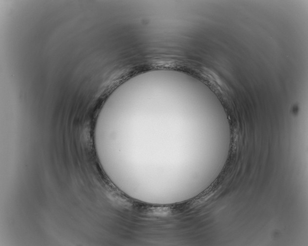 X0000090720377200707201019
