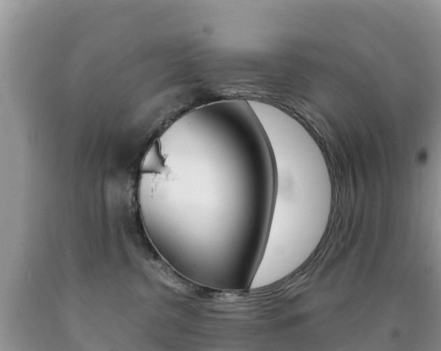 X0000090720380200707201019