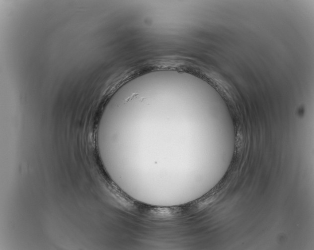 X0000090720381200707201019