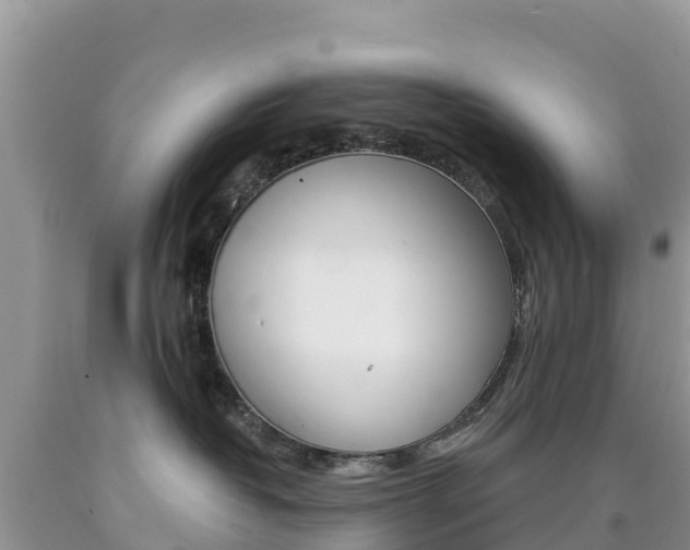 X0000090720382200707201019