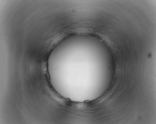 X0000090720383200707201019