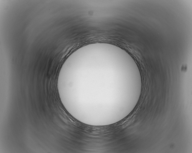 X0000090720384200707201019