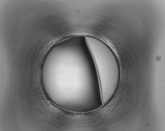 X0000090720385200707201018