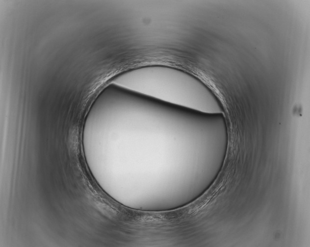 X0000090720386200707201018
