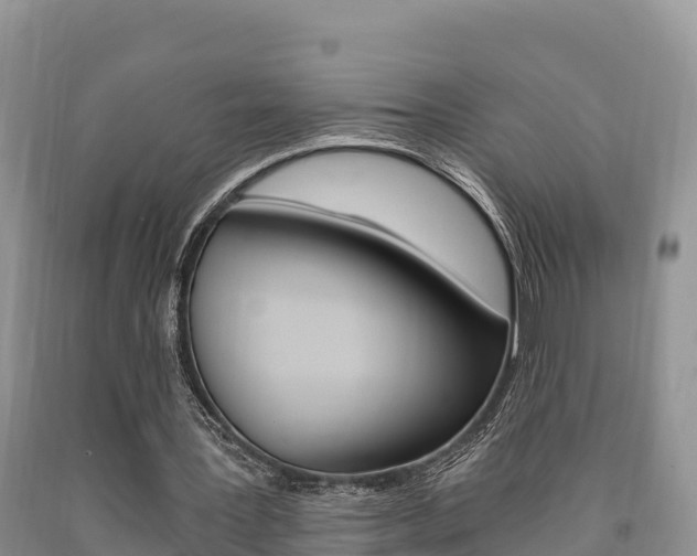 X0000090720387200707201018