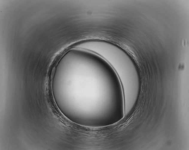 X0000090720388200707201018