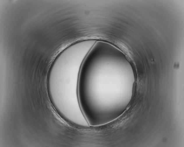 X0000090720389200707201018
