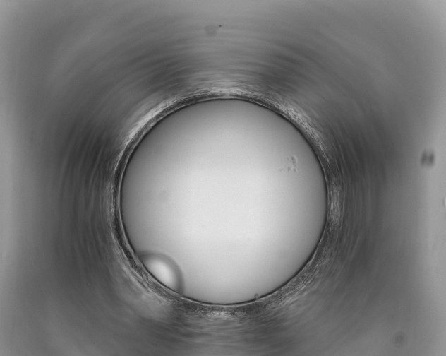 X0000090720390200707201018