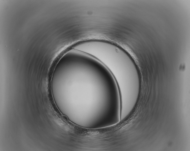 X0000090720391200707201018