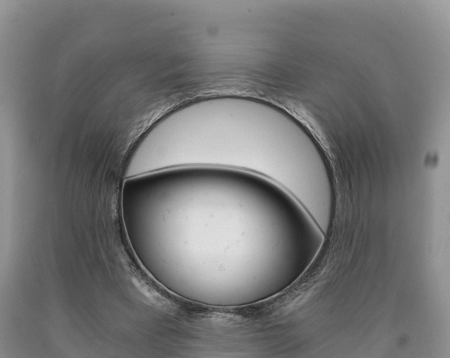 X0000090720393200707201018