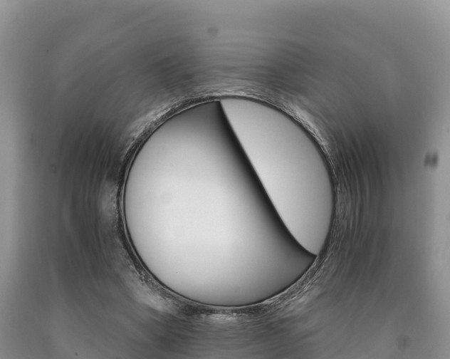 X0000090720394200707201018