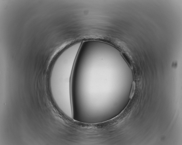 X0000090720395200707201018
