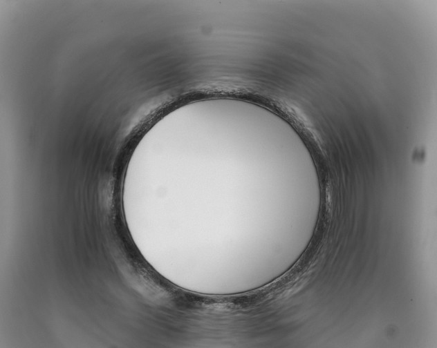 X0000090720396200707201018