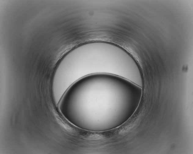 X0000090720397200707201018