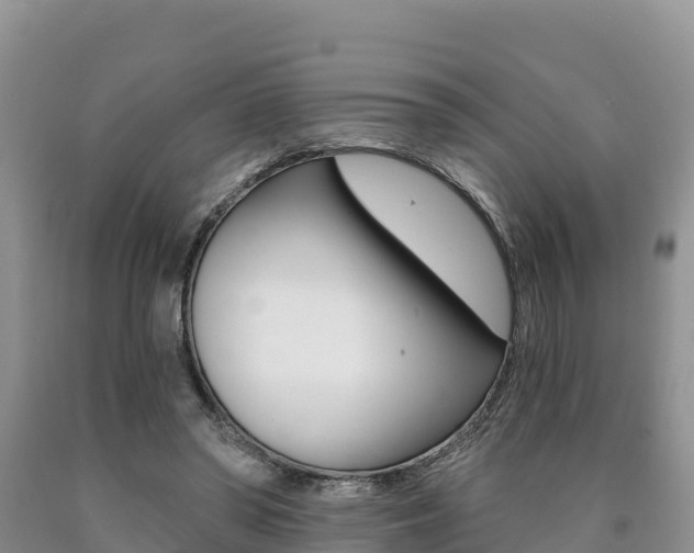 X0000090720398200707201018