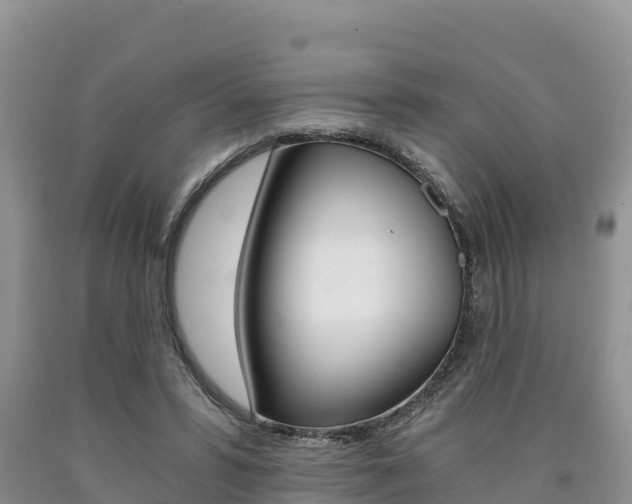 X0000090720399200707201018