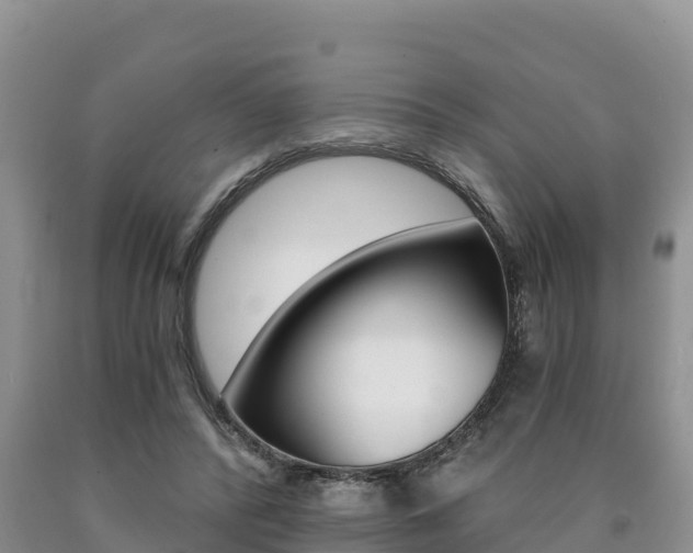 X0000090720400200707201018