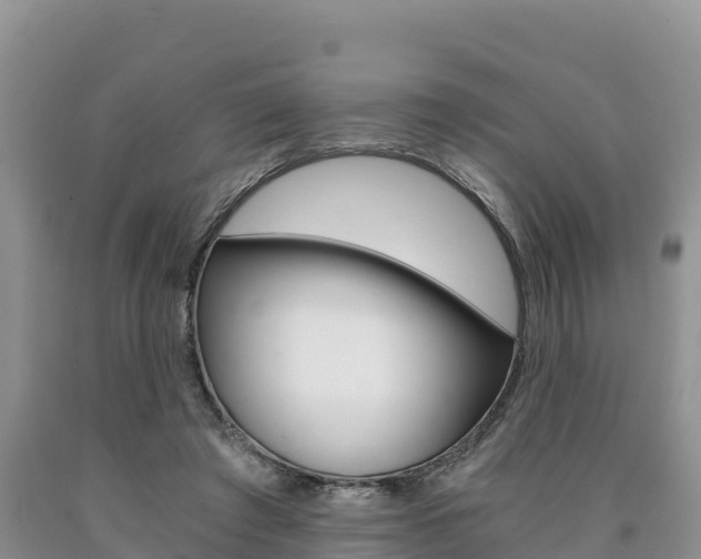X0000090720401200707201018