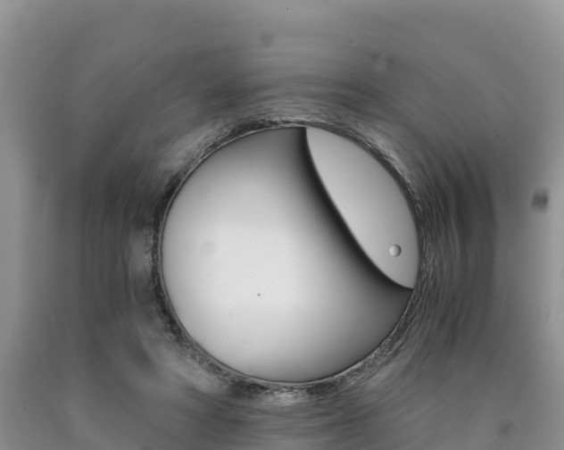X0000090720402200707201018