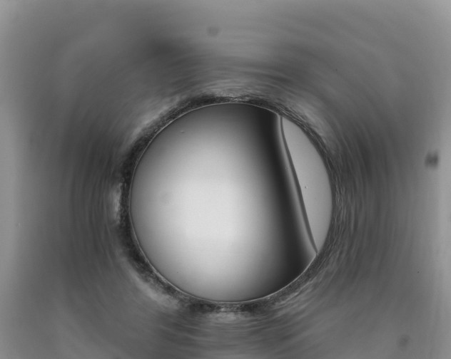 X0000090720404200707201018