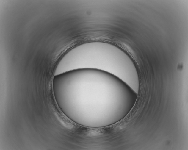 X0000090720405200707201018