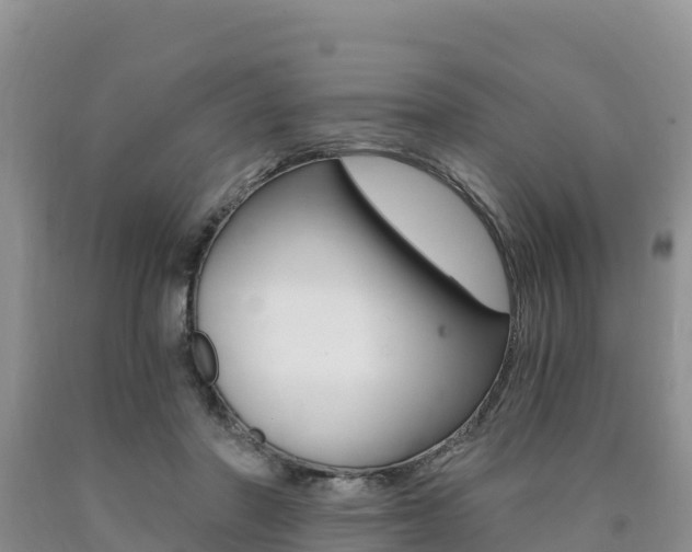 X0000090720406200707201018