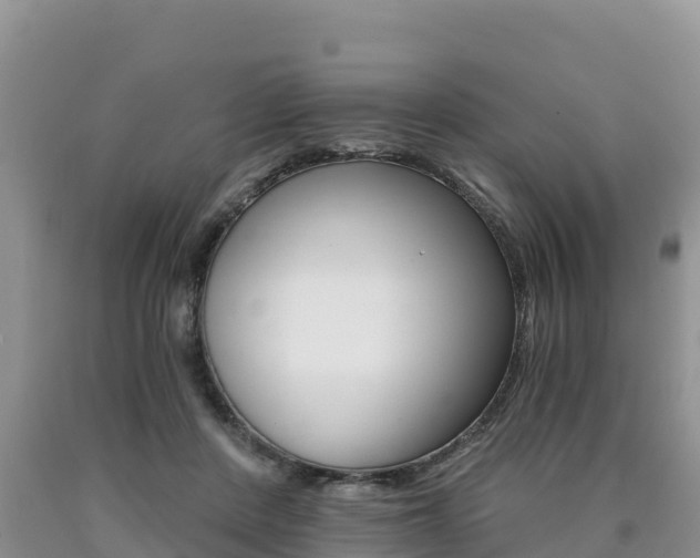 X0000090720408200707201018