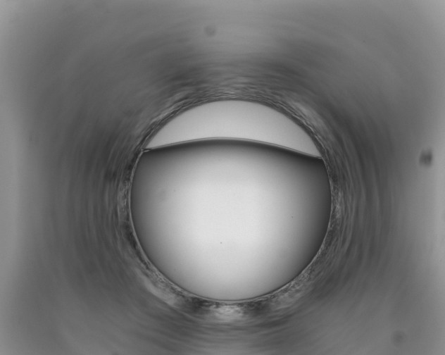 X0000090720409200707201018