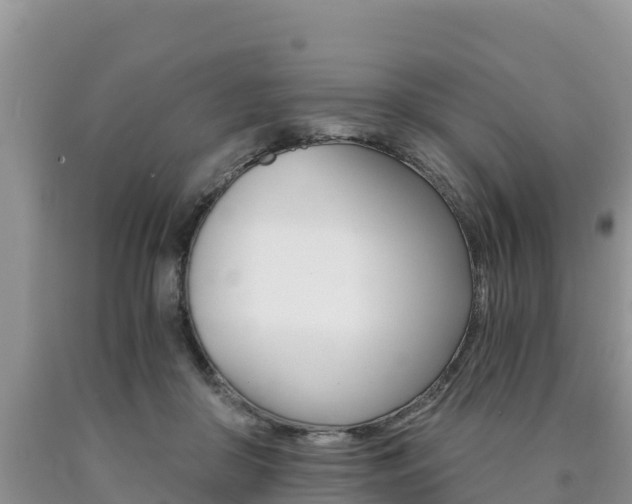 X0000090720410200707201018