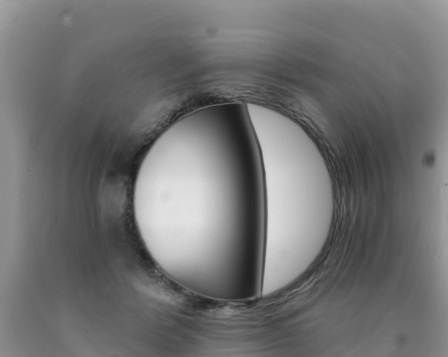 X0000090720412200707201018