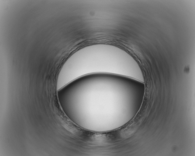 X0000090720413200707201018
