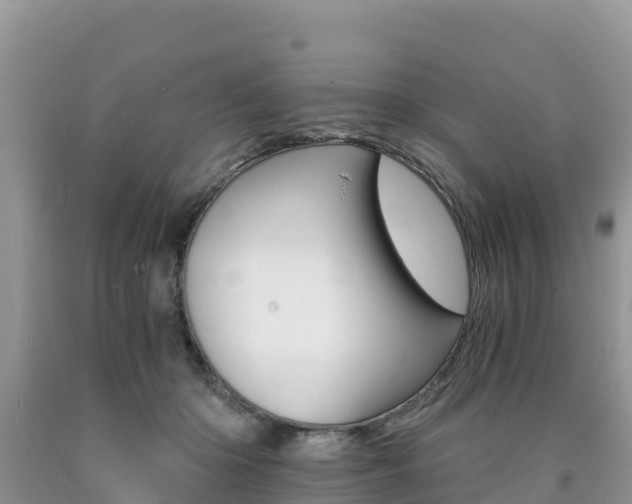 X0000090720414200707201018