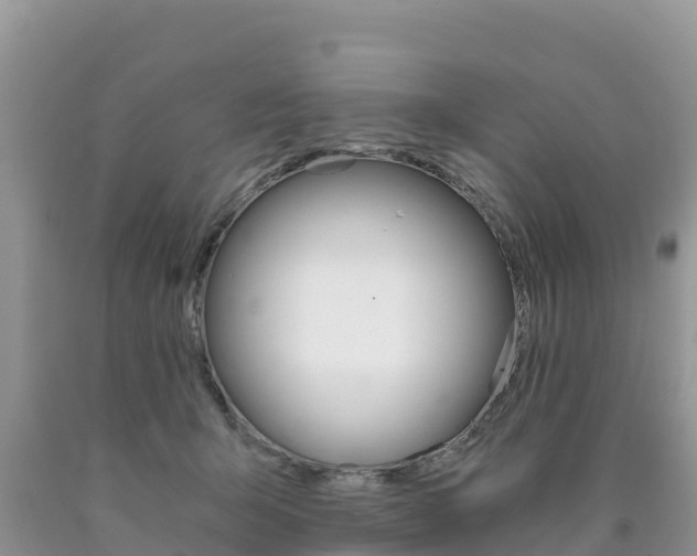 X0000090720415200707201018
