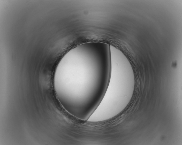 X0000090720416200707201018